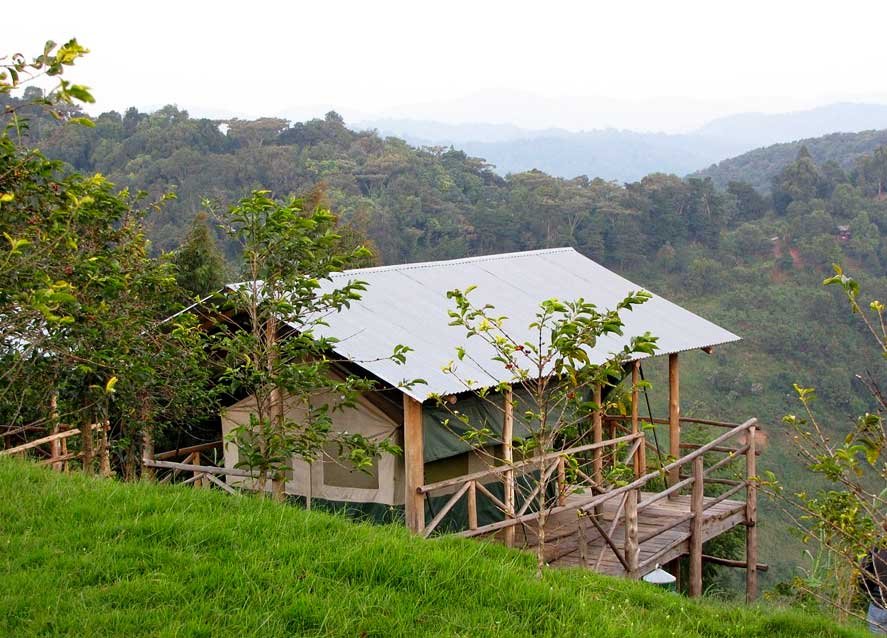 oneonly Nyungwe house